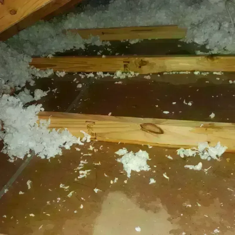 Attic Water Damage in Cross County, AR