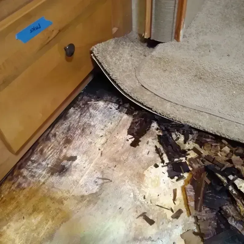 Best Wood Floor Water Damage Service in Cross County, AR